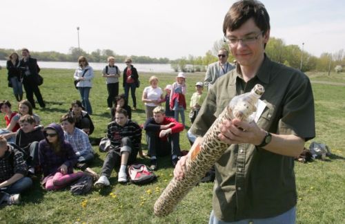  zdjęcie reportażowe z wydarzenia festiwalowego. Kliknij, aby powiększyć zdjęcie