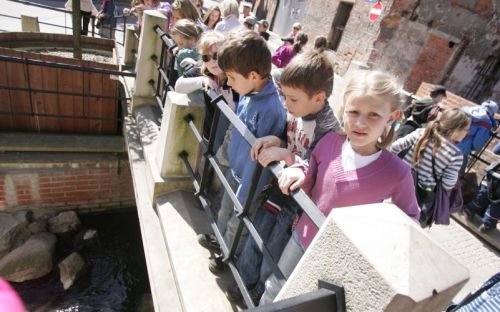  zdjęcie reportażowe z wydarzenia festiwalowego. Kliknij, aby powiększyć zdjęcie