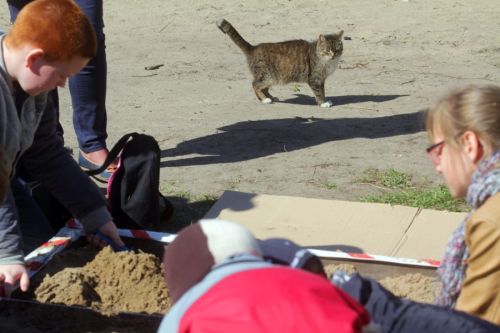  zdjęcie reportażowe z wydarzenia festiwalowego. Kliknij, aby powiększyć zdjęcie