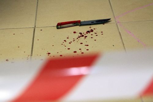  zdjęcie reportażowe z wydarzenia festiwalowego. Kliknij, aby powiększyć zdjęcie