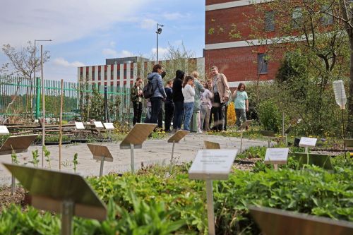 Dzień 3 (24.04.2023, fot. Andrzej Romański, Adam Zakrzewski).  zdjęcie reportażowe z wydarzenia festiwalowego. Kliknij, aby powiększyć zdjęcie
