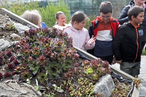 Dzień 3 (24.04.2023, fot. Andrzej Romański, Adam Zakrzewski).  zdjęcie reportażowe z wydarzenia festiwalowego. Kliknij, aby powiększyć zdjęcie