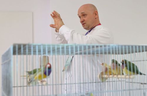 TFNIS 2025 dzień 4 (28.04.2025).  [fot. Mikołaj Kuras, Andrzej Romański, Adam Zakrzewski] zdjęcie reportażowe z wydarzenia festiwalowego. Kliknij, aby powiększyć zdjęcie
