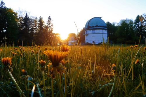 TFNIS 2025 dzień 3 (27.04.2025).  [fot. Mikołaj Kuras, Andrzej Romański, Adam Zakrzewski] zdjęcie reportażowe z wydarzenia festiwalowego. Kliknij, aby powiększyć zdjęcie