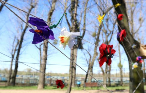 TFNiS dzień 1 (22.04.2023, fot. Andrzej Romański, Adam Zakrzewski).  zdjęcie reportażowe z wydarzenia festiwalowego. Kliknij, aby powiększyć zdjęcie