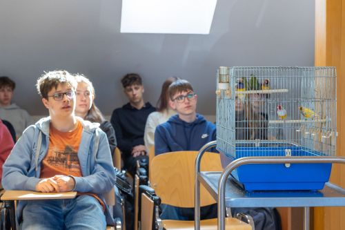 Dzień 4 TFNiS 2026 (27.04.2026).  [fot. Mikołaj Kuras, Andrzej Romański, Adam Zakrzewski] zdjęcie reportażowe z wydarzenia festiwalowego. Kliknij, aby powiększyć zdjęcie