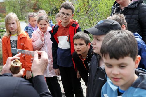 Dzień 3 (24.04.2023, fot. Andrzej Romański, Adam Zakrzewski).  zdjęcie reportażowe z wydarzenia festiwalowego. Kliknij, aby powiększyć zdjęcie