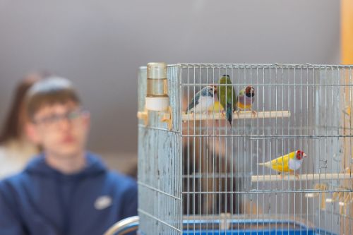 Dzień 4 TFNiS 2026 (27.04.2026).  [fot. Mikołaj Kuras, Andrzej Romański, Adam Zakrzewski] zdjęcie reportażowe z wydarzenia festiwalowego. Kliknij, aby powiększyć zdjęcie