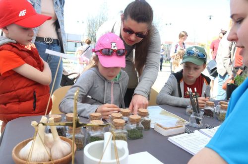 Dzień 2 (23.04.2023, fot. Andrzej Romański, Adam Zakrzewski).  zdjęcie reportażowe z wydarzenia festiwalowego. Kliknij, aby powiększyć zdjęcie