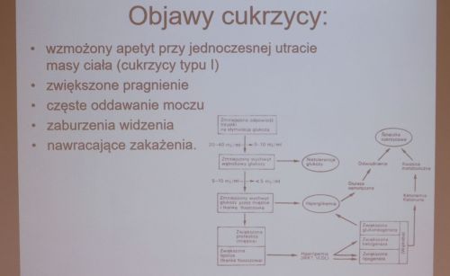 TFNiS 2022 - dzień 1 (22.04.2022).  [fot. Andrzej Romański i Adam Zakrzewski] zdjęcie reportażowe z wydarzenia festiwalowego. Kliknij, aby powiększyć zdjęcie