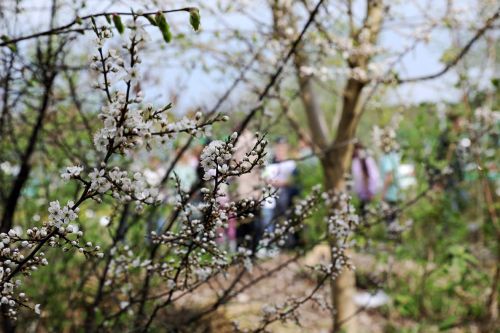 Dzień 3 (24.04.2023, fot. Andrzej Romański, Adam Zakrzewski).  zdjęcie reportażowe z wydarzenia festiwalowego. Kliknij, aby powiększyć zdjęcie