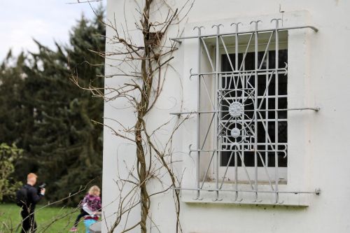 Dzień 2 (23.04.2023, fot. Andrzej Romański, Adam Zakrzewski).  zdjęcie reportażowe z wydarzenia festiwalowego. Kliknij, aby powiększyć zdjęcie