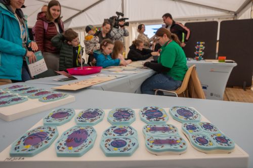 TFNIS 2025 dzień 3 (27.04.2025).  [fot. Mikołaj Kuras, Andrzej Romański, Adam Zakrzewski] zdjęcie reportażowe z wydarzenia festiwalowego. Kliknij, aby powiększyć zdjęcie