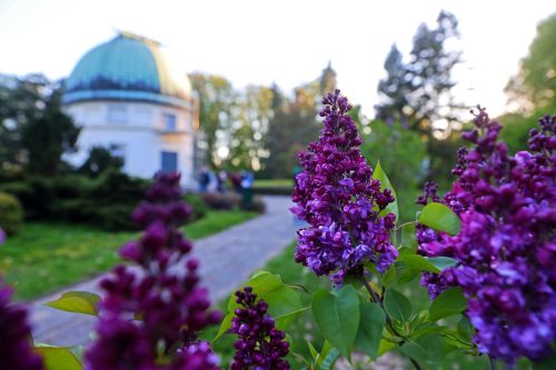 TFNIS 2025 dzień 3 (27.04.2025).  [fot. Mikołaj Kuras, Andrzej Romański, Adam Zakrzewski] zdjęcie reportażowe z wydarzenia festiwalowego. Kliknij, aby powiększyć zdjęcie