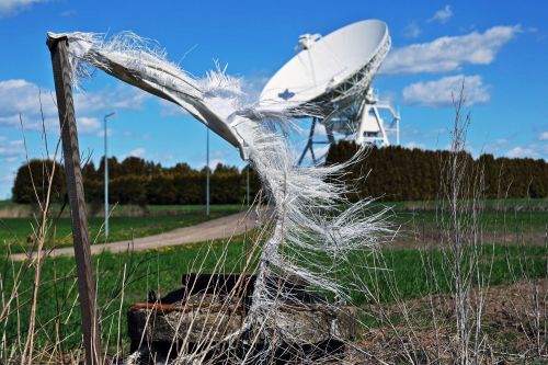 Dzień 3 TFNiS 2026 (26.04.2026).  [fot. Mikołaj Kuras, Andrzej Romański, Adam Zakrzewski] zdjęcie reportażowe z wydarzenia festiwalowego. Kliknij, aby powiększyć zdjęcie