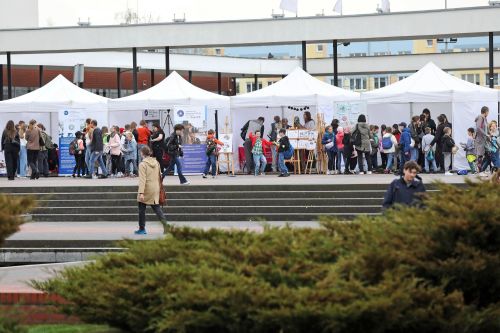 Dzień 3 (24.04.2023, fot. Andrzej Romański, Adam Zakrzewski).  zdjęcie reportażowe z wydarzenia festiwalowego. Kliknij, aby powiększyć zdjęcie