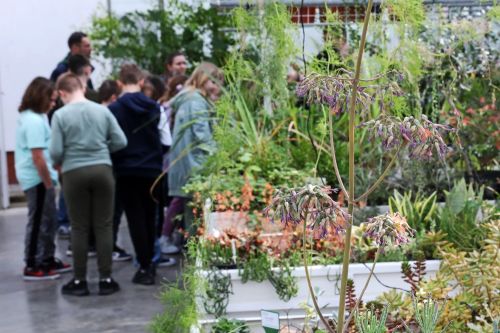 Dzień 3 (24.04.2023, fot. Andrzej Romański, Adam Zakrzewski).  zdjęcie reportażowe z wydarzenia festiwalowego. Kliknij, aby powiększyć zdjęcie