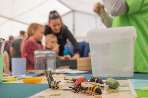 TFNIS 2025 dzień 3 (27.04.2025).  [fot. Mikołaj Kuras, Andrzej Romański, Adam Zakrzewski] zdjęcie reportażowe z wydarzenia festiwalowego. Kliknij, aby powiększyć zdjęcie