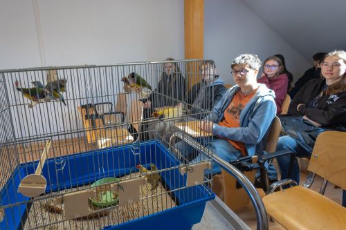 Dzień 4 TFNiS 2026 (27.04.2026).  [fot. Mikołaj Kuras, Andrzej Romański, Adam Zakrzewski] zdjęcie reportażowe z wydarzenia festiwalowego. Kliknij, aby powiększyć zdjęcie