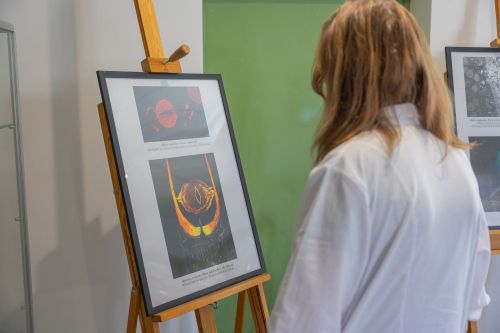 Dzień 4 TFNiS 2026 (27.04.2026).  [fot. Mikołaj Kuras, Andrzej Romański, Adam Zakrzewski] zdjęcie reportażowe z wydarzenia festiwalowego. Kliknij, aby powiększyć zdjęcie
