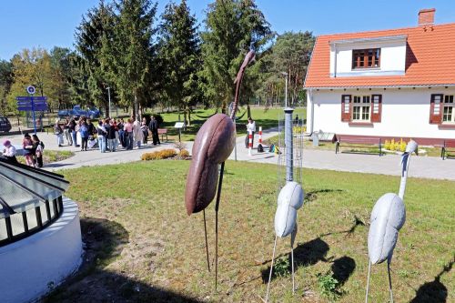 TFNIS 2025 dzień 4 (28.04.2025).  [fot. Mikołaj Kuras, Andrzej Romański, Adam Zakrzewski] zdjęcie reportażowe z wydarzenia festiwalowego. Kliknij, aby powiększyć zdjęcie