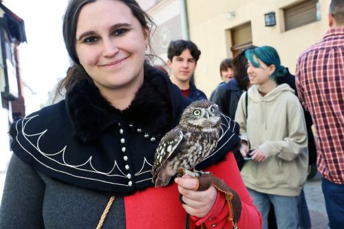 TFNiS dzień 1 (22.04.2023, fot. Andrzej Romański, Adam Zakrzewski).  zdjęcie reportażowe z wydarzenia festiwalowego. Kliknij, aby powiększyć zdjęcie